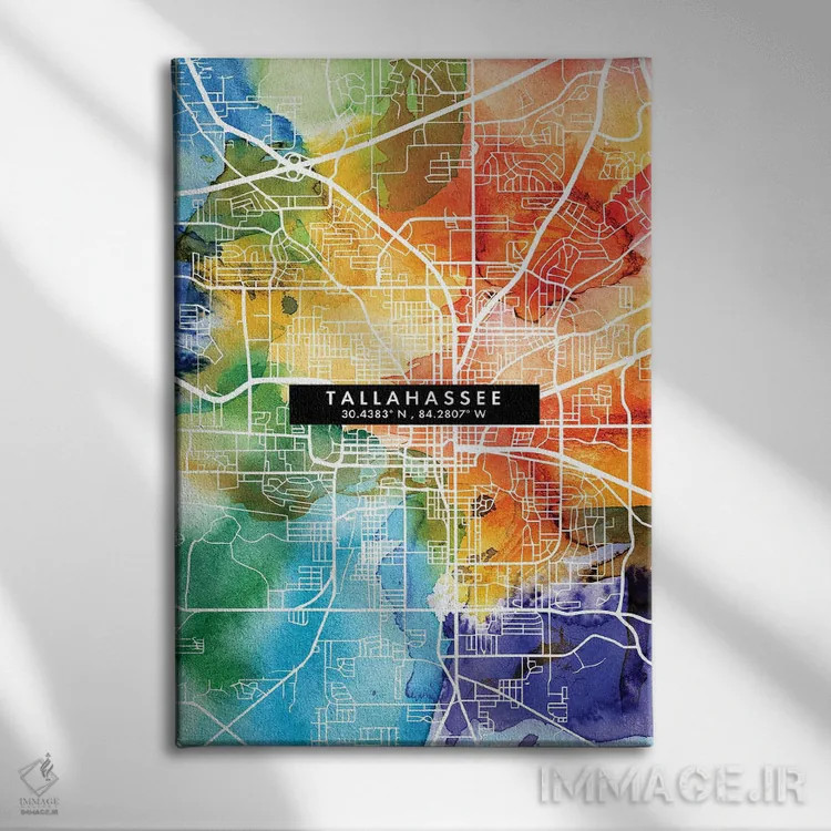 تابلو دکوراتیو Florida City Map Colorful Watercolor Style,نقشه شهر تالا… اثر وال دکور ادیکت - نمای روبهرو روی دیوار