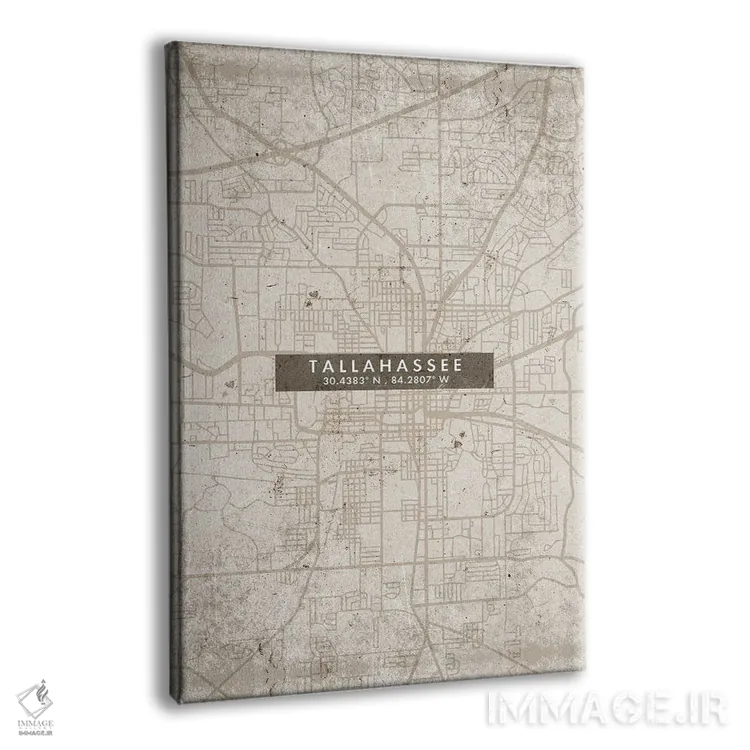 تابلو دکوراتیو Florida City Map Abstract Style,نقشه شهر تالاهاسی، فلوری… اثر وال دکور ادیکت - نمای پرسپکتیو محصول