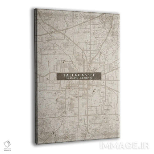 تابلو دکوراتیو Florida City Map Abstract Style,نقشه شهر تالاهاسی، فلوری… اثر وال دکور ادیکت - نمای پرسپکتیو محصول