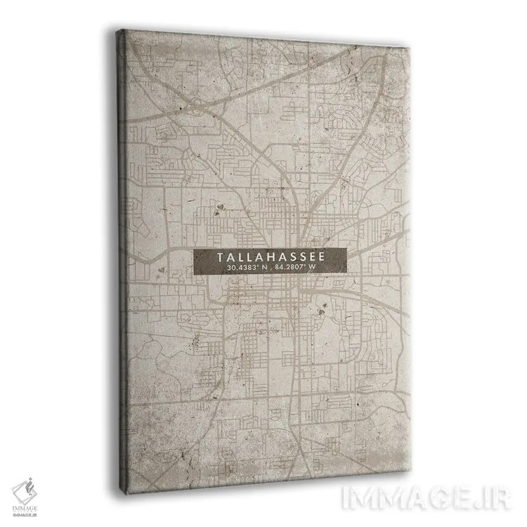 تابلو دکوراتیو Florida City Map Abstract Style,نقشه شهر تالاهاسی، فلوری… اثر وال دکور ادیکت - نمای پرسپکتیو محصول