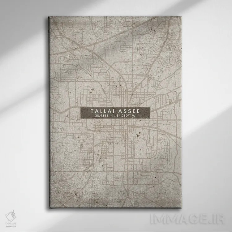 تابلو دکوراتیو Florida City Map Abstract Style,نقشه شهر تالاهاسی، فلوری… اثر وال دکور ادیکت - نمای روبهرو روی دیوار