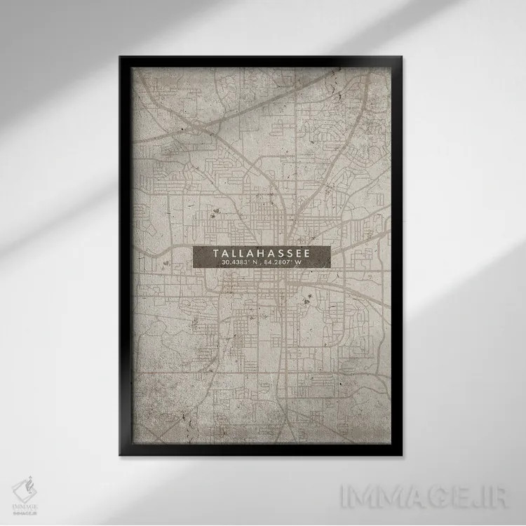 تابلو دکوراتیو Florida City Map Abstract Style,نقشه شهر تالاهاسی، فلوری… اثر وال دکور ادیکت - نمای قابدار مشکی
