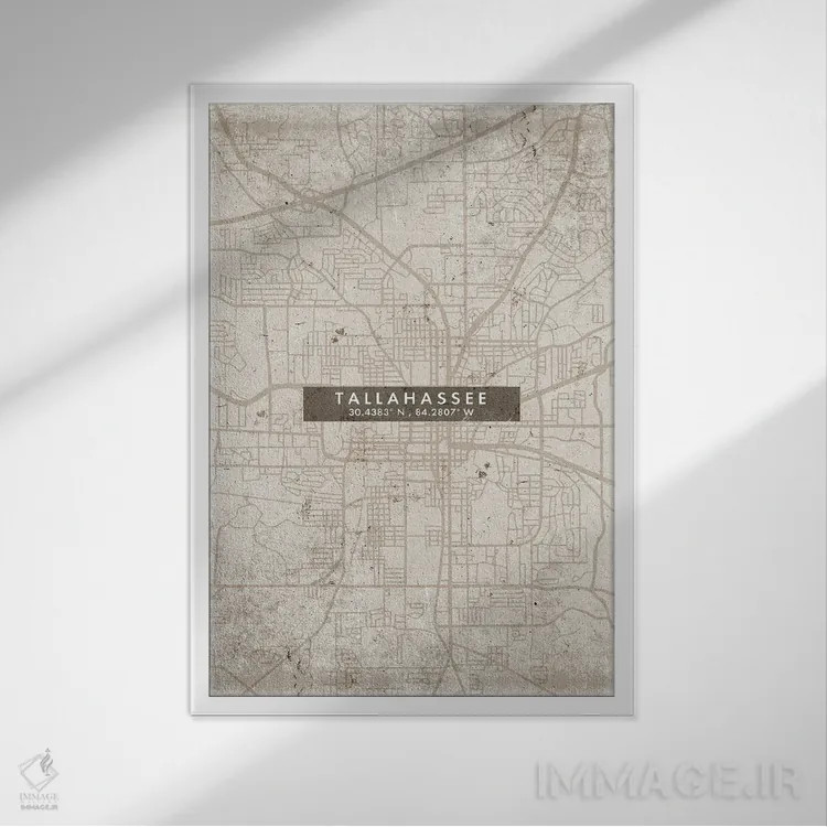 تابلو دکوراتیو Florida City Map Abstract Style,نقشه شهر تالاهاسی، فلوری… اثر وال دکور ادیکت - نمای قابدار سفید