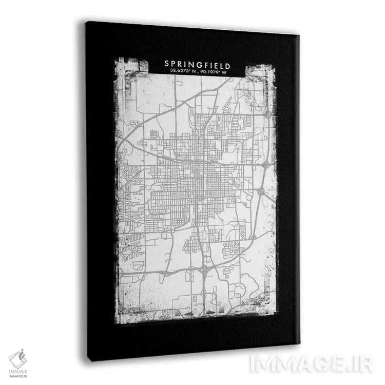 تابلو دکوراتیو Illinois City Map Black White Grey Style,نقشه شهر اسپرین… اثر وال دکور ادیکت - نمای پرسپکتیو محصول