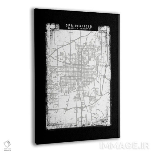 تابلو دکوراتیو Illinois City Map Black White Grey Style,نقشه شهر اسپرین… اثر وال دکور ادیکت - نمای پرسپکتیو محصول