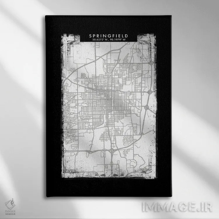 تابلو دکوراتیو Illinois City Map Black White Grey Style,نقشه شهر اسپرین… اثر وال دکور ادیکت - نمای روبهرو روی دیوار