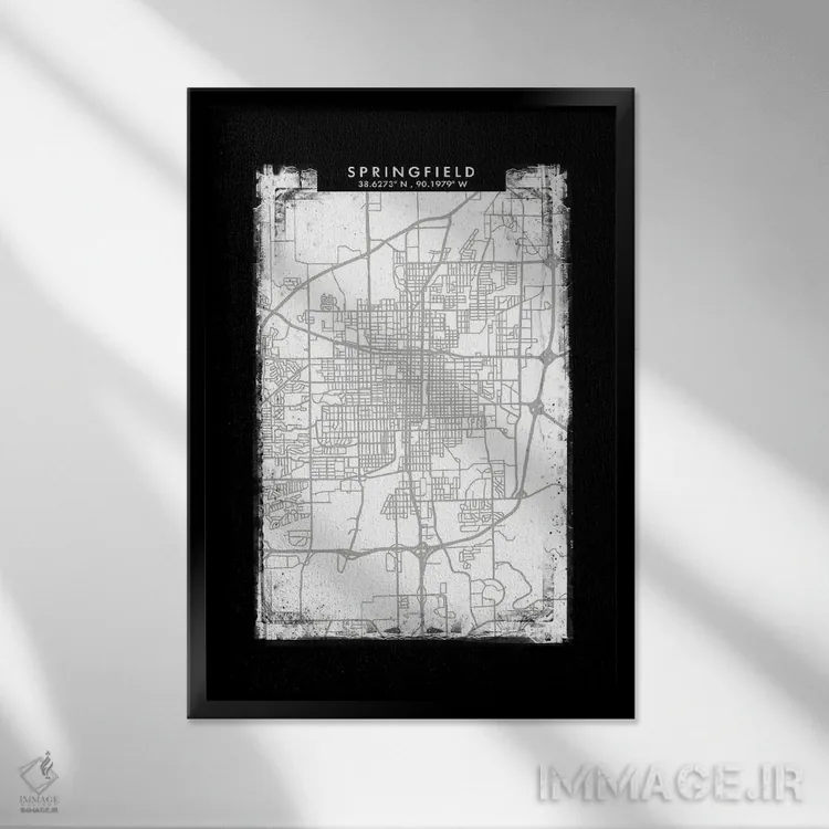 تابلو دکوراتیو Illinois City Map Black White Grey Style,نقشه شهر اسپرین… اثر وال دکور ادیکت - نمای قابدار مشکی