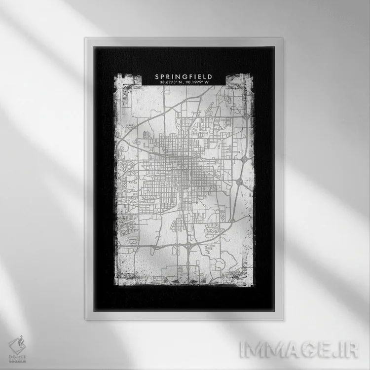 تابلو دکوراتیو Illinois City Map Black White Grey Style,نقشه شهر اسپرین… اثر وال دکور ادیکت - نمای قابدار سفید