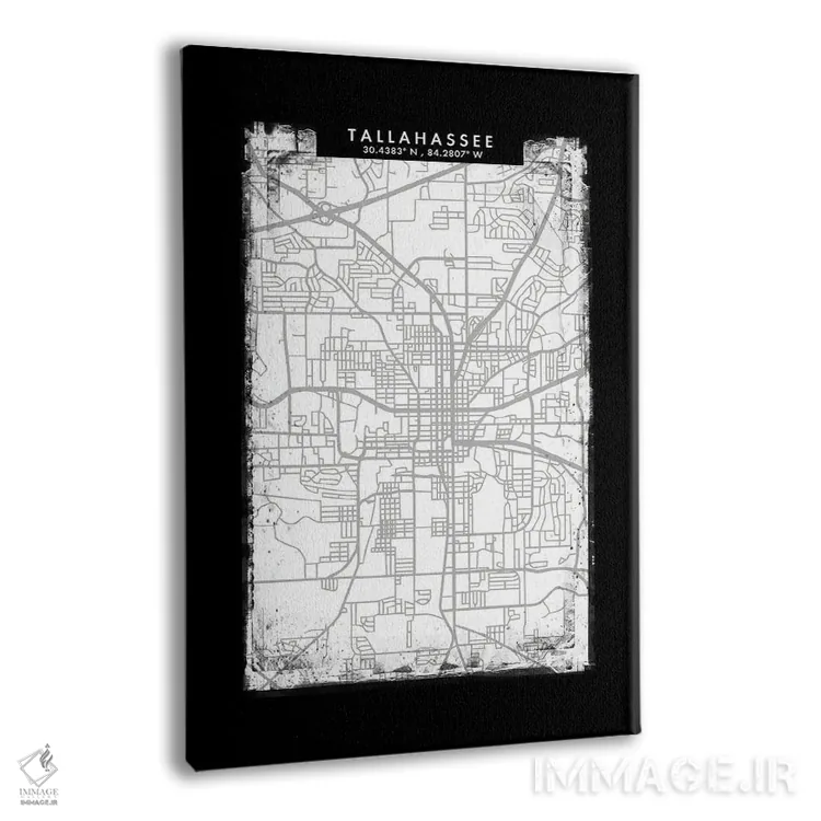 تابلو دکوراتیو Florida City Map Black White Grey Style,نقشه شهر تالاهاس… اثر وال دکور ادیکت - نمای پرسپکتیو محصول