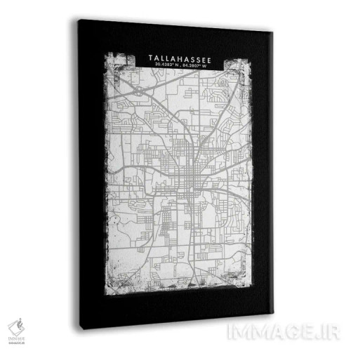 تابلو دکوراتیو Florida City Map Black White Grey Style,نقشه شهر تالاهاس… اثر وال دکور ادیکت - نمای پرسپکتیو محصول