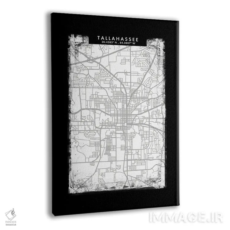 تابلو دکوراتیو Florida City Map Black White Grey Style,نقشه شهر تالاهاس… اثر وال دکور ادیکت - نمای پرسپکتیو محصول