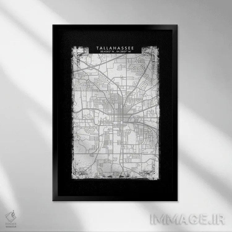 تابلو دکوراتیو Florida City Map Black White Grey Style,نقشه شهر تالاهاس… اثر وال دکور ادیکت - نمای قابدار مشکی
