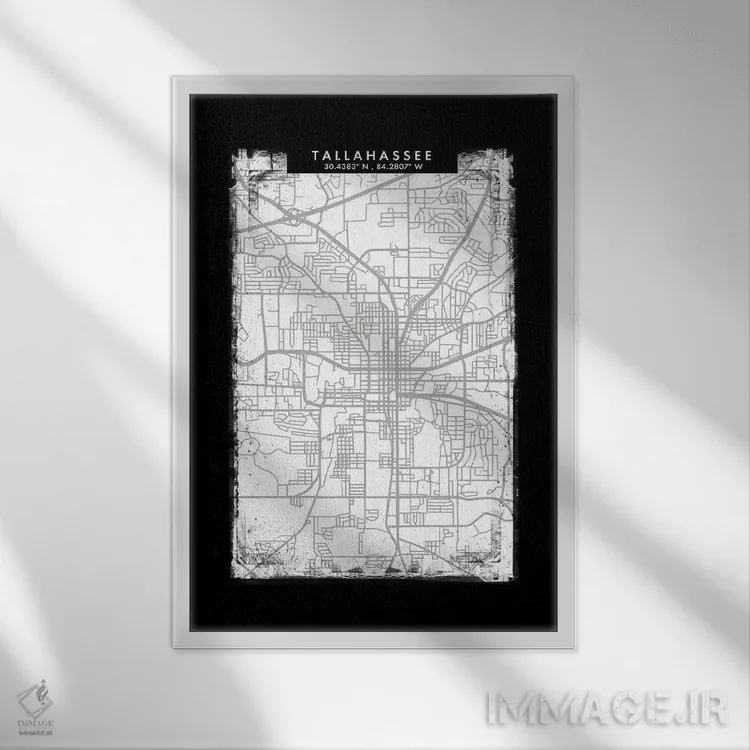 تابلو دکوراتیو Florida City Map Black White Grey Style,نقشه شهر تالاهاس… اثر وال دکور ادیکت - نمای قابدار سفید