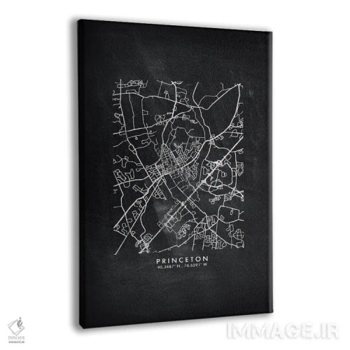 تابلو دکوراتیو New Jersey City Map Chalkboard Style,نقشه شهر پرینستون… اثر وال دکور ادیکت - نمای پرسپکتیو محصول