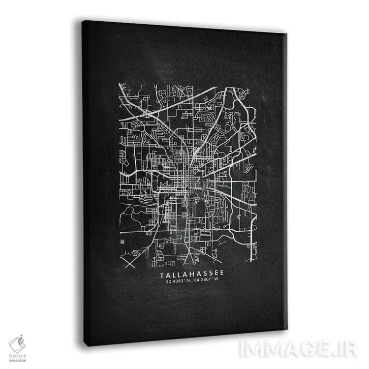 تابلو دکوراتیو Florida City Map Chalkboard Style,نقشه شهر تالاهاسی فلور… اثر وال دکور ادیکت - نمای پرسپکتیو محصول