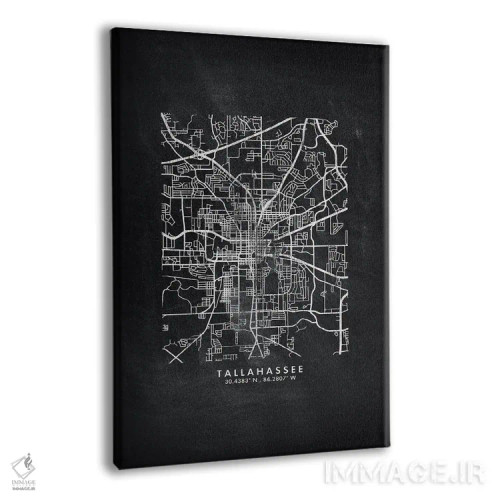 تابلو دکوراتیو Florida City Map Chalkboard Style,نقشه شهر تالاهاسی فلور… اثر وال دکور ادیکت - نمای پرسپکتیو محصول