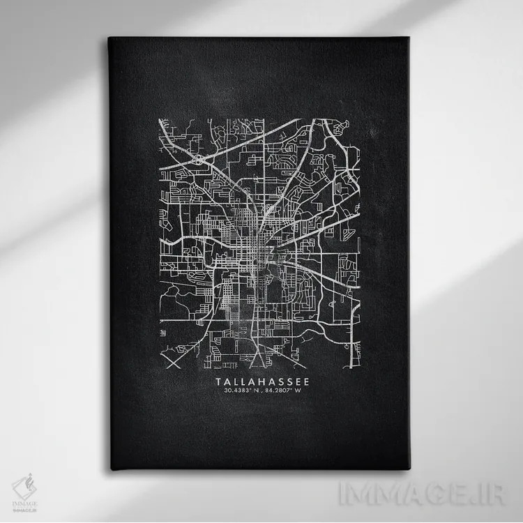 تابلو دکوراتیو Florida City Map Chalkboard Style,نقشه شهر تالاهاسی فلور… اثر وال دکور ادیکت - نمای روبهرو روی دیوار