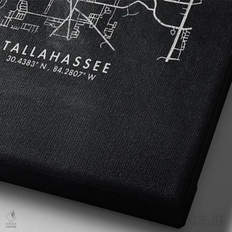 تابلو دکوراتیو Florida City Map Chalkboard Style,نقشه شهر تالاهاسی فلور… اثر وال دکور ادیکت - نمای نزدیک بافت بوم