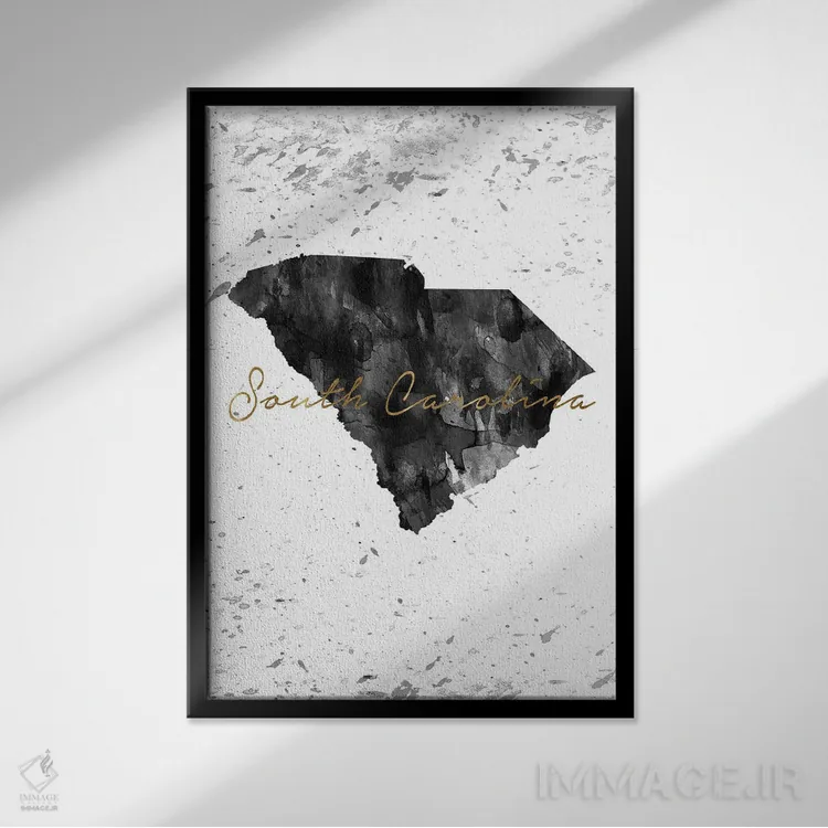 تابلو دکوراتیو کارولینای جنوبی سیاه و سفید با طلایی اثر وال دکور ادیکت - نمای قابدار مشکی