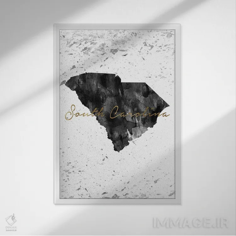 تابلو دکوراتیو کارولینای جنوبی سیاه و سفید با طلایی اثر وال دکور ادیکت - نمای قابدار سفید