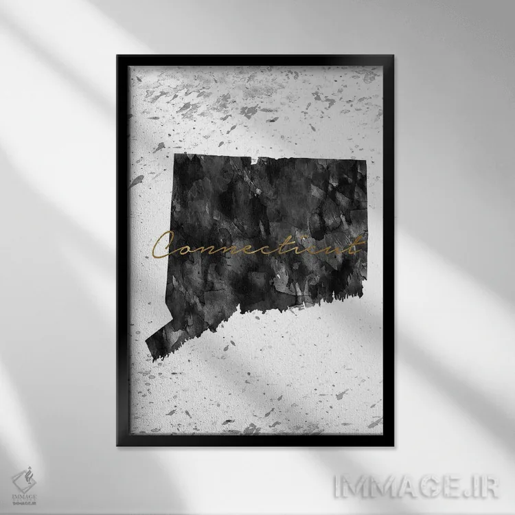 تابلو دکوراتیو کنتیکت سیاه و سفید طلایی اثر وال دکور ادیکت - نمای قابدار مشکی