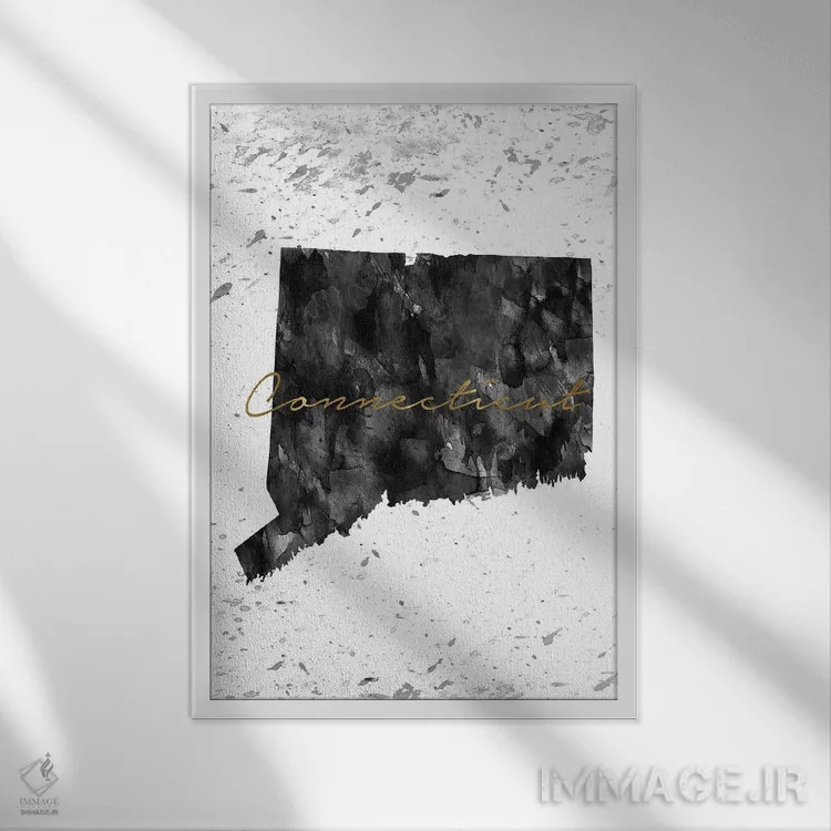تابلو دکوراتیو کنتیکت سیاه و سفید طلایی اثر وال دکور ادیکت - نمای قابدار سفید