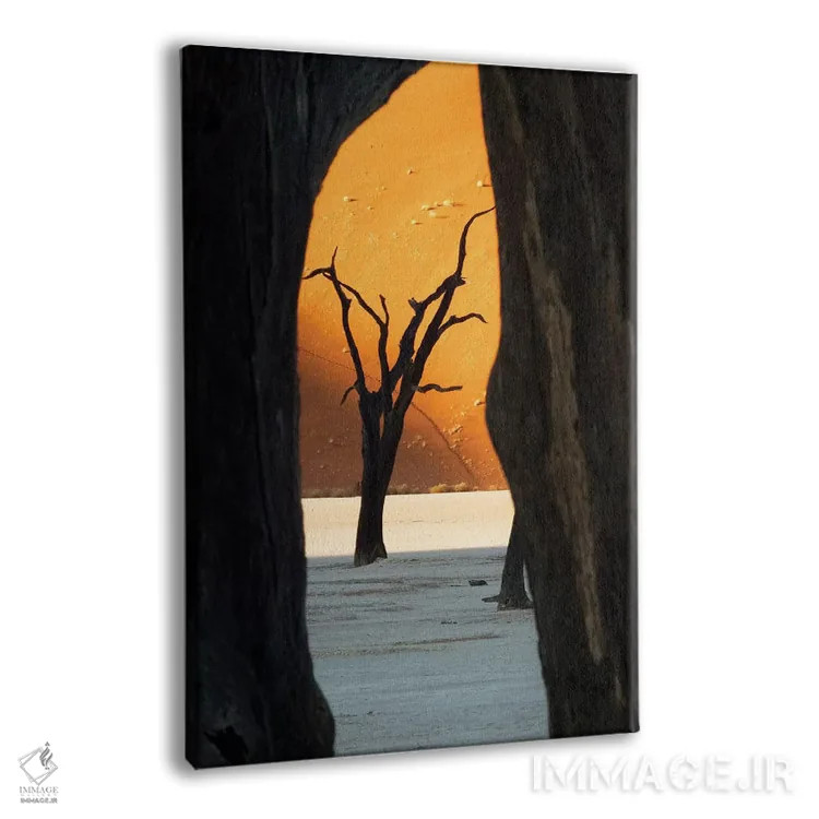 تابلو دکوراتیو Deadvlei, Namib Desert, Namib-Naukluft Park, Namibia,درختان… اثر وندی کاونی - نمای پرسپکتیو محصول