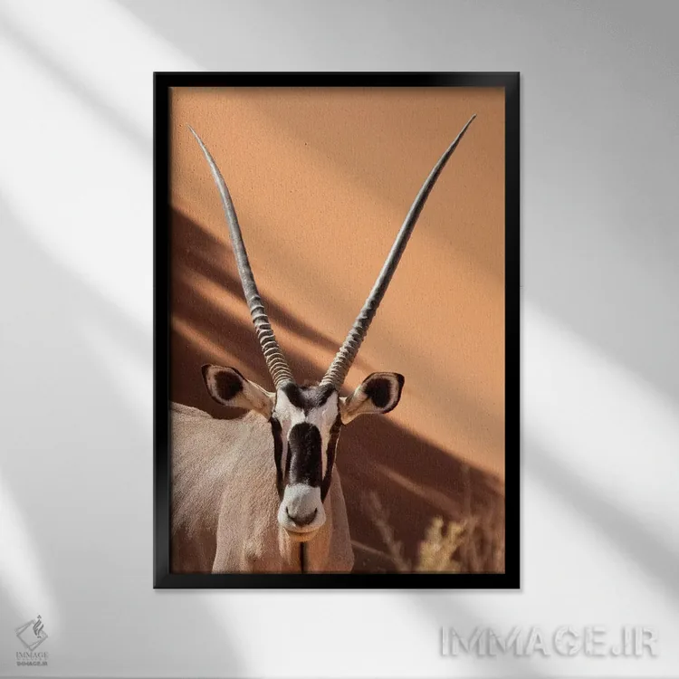تابلو دکوراتیو Sossusvlei, Namib Desert, Namib-Naukluft Park, Namibia,اریکس… اثر وندی کاونی - نمای قابدار مشکی
