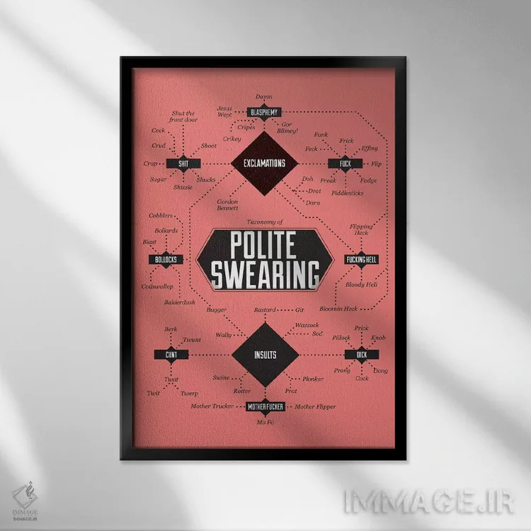 تابلو دکوراتیو ناسزاگویی اثر استیفن وایل دیش - نمای قابدار مشکی