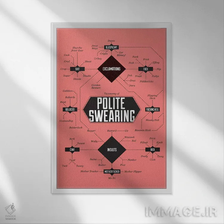 تابلو دکوراتیو ناسزاگویی اثر استیفن وایل دیش - نمای قابدار سفید
