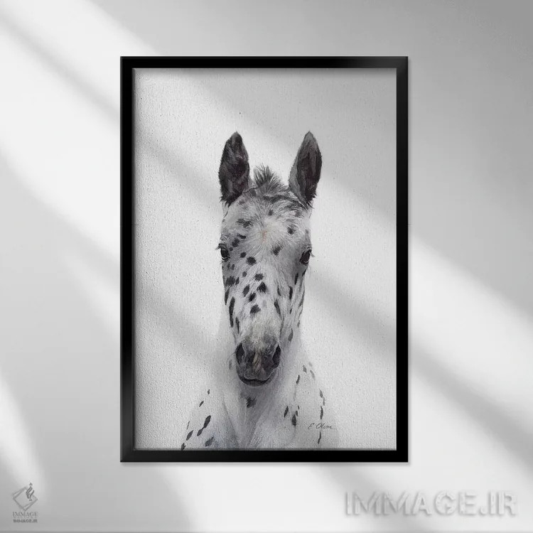 تابلو دکوراتیو کره اسب آپالوسا اثر واترکالر لاو - نمای قابدار مشکی