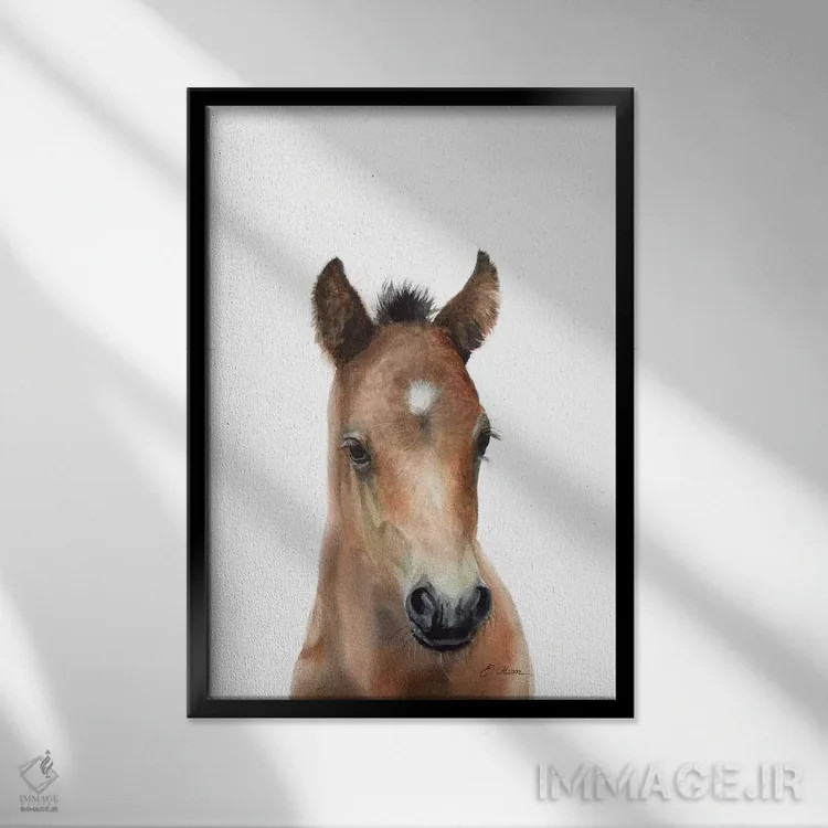 تابلو دکوراتیو کره اسب اصیل عرب قهوه ای اثر واترکالر لاو - نمای قابدار مشکی