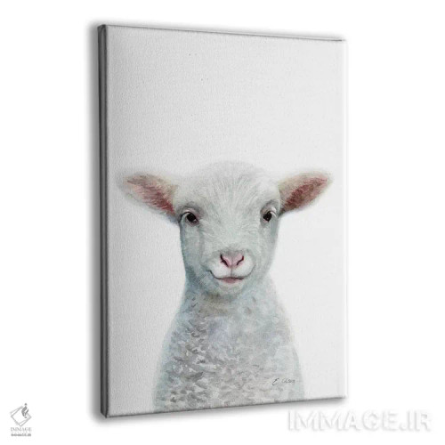 تابلو دکوراتیو بره کوچک اثر واترکالر لاو - نمای پرسپکتیو محصول