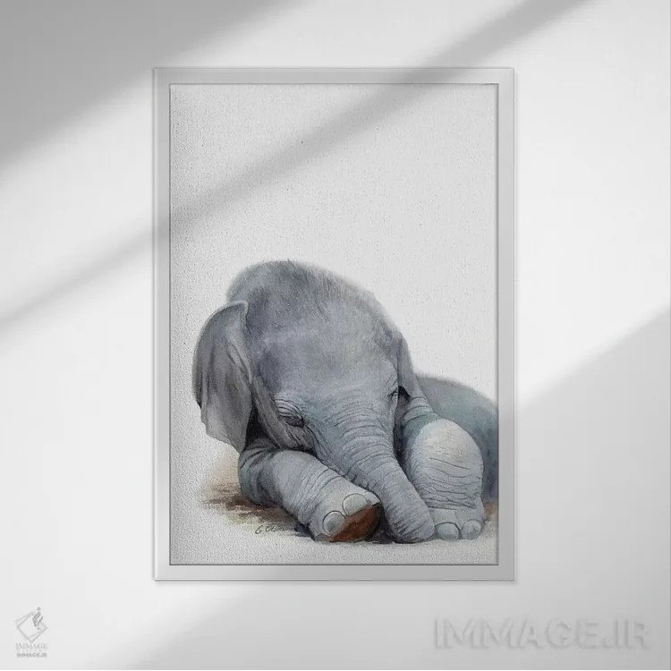 تابلو دکوراتیو فیل بچه در حال خواب اثر واترکالر لاو - نمای قابدار سفید