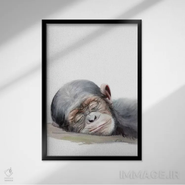 تابلو دکوراتیو شامپانزه بچه در حال خواب اثر واترکالر لاو - نمای قابدار مشکی