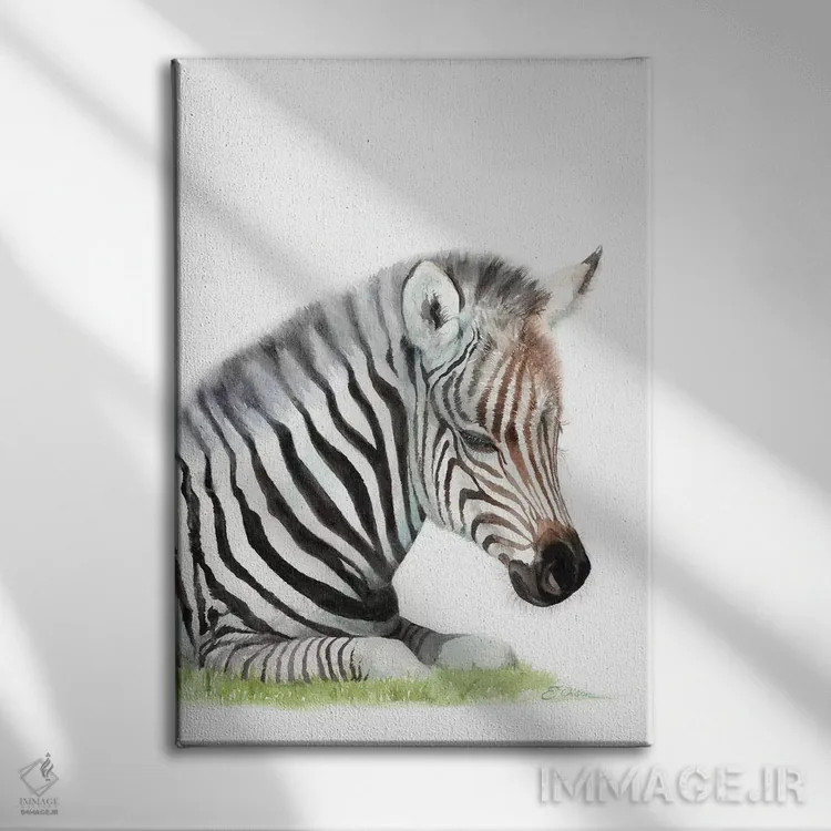 تابلو دکوراتیو گورخر بچه در حال خواب اثر واترکالر لاو - نمای روبهرو روی دیوار