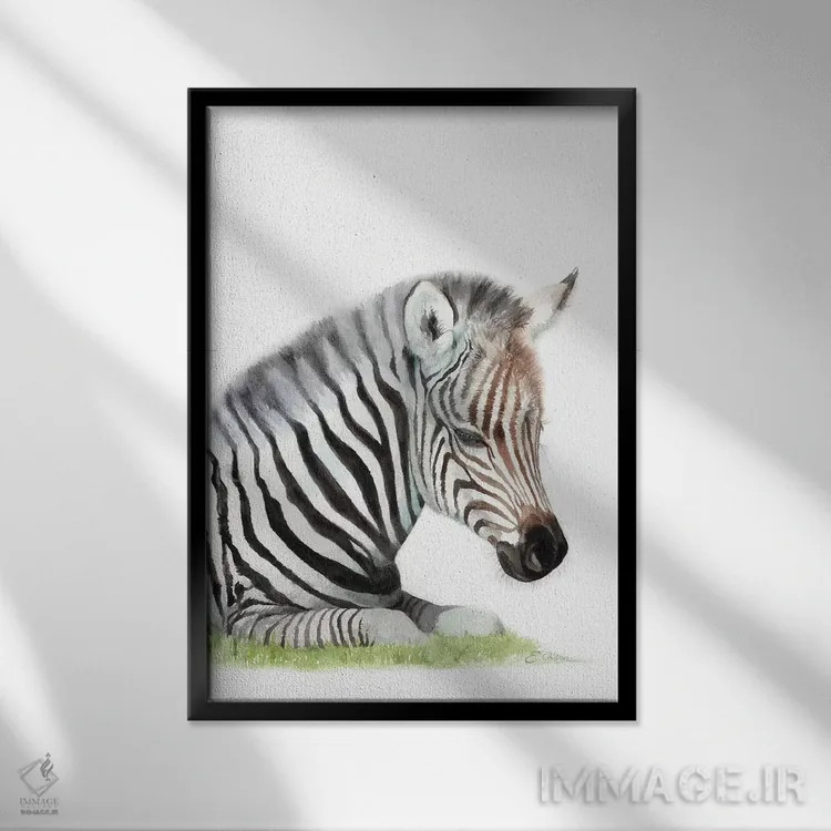 تابلو دکوراتیو گورخر بچه در حال خواب اثر واترکالر لاو - نمای قابدار مشکی