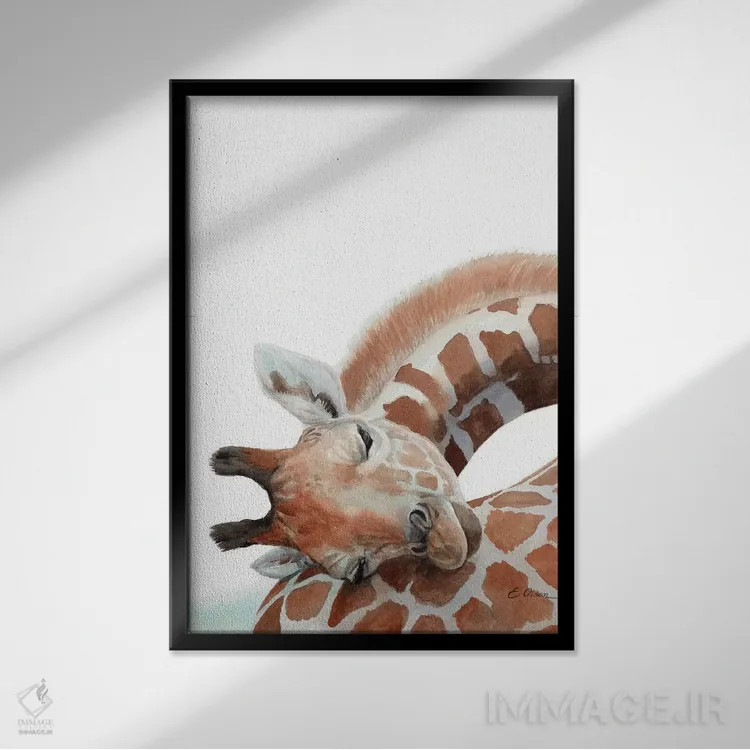 تابلو دکوراتیو زرافه بچه در حال خواب اثر واترکالر لاو - نمای قابدار مشکی