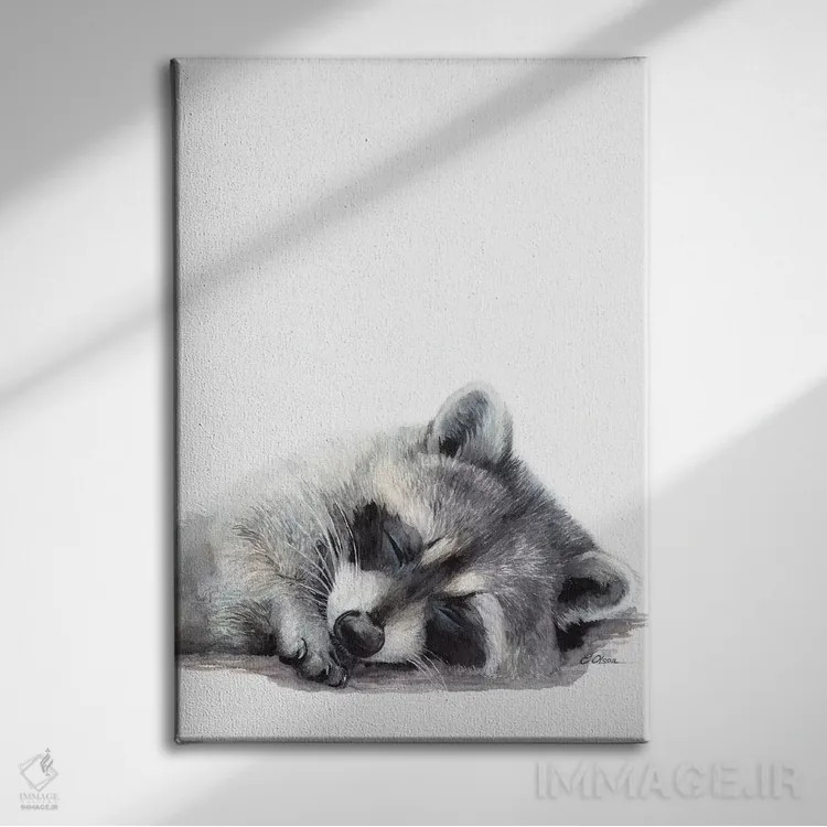 تابلو دکوراتیو راکون جنگلی خوابیده اثر واترکالر لاو - نمای روبهرو روی دیوار