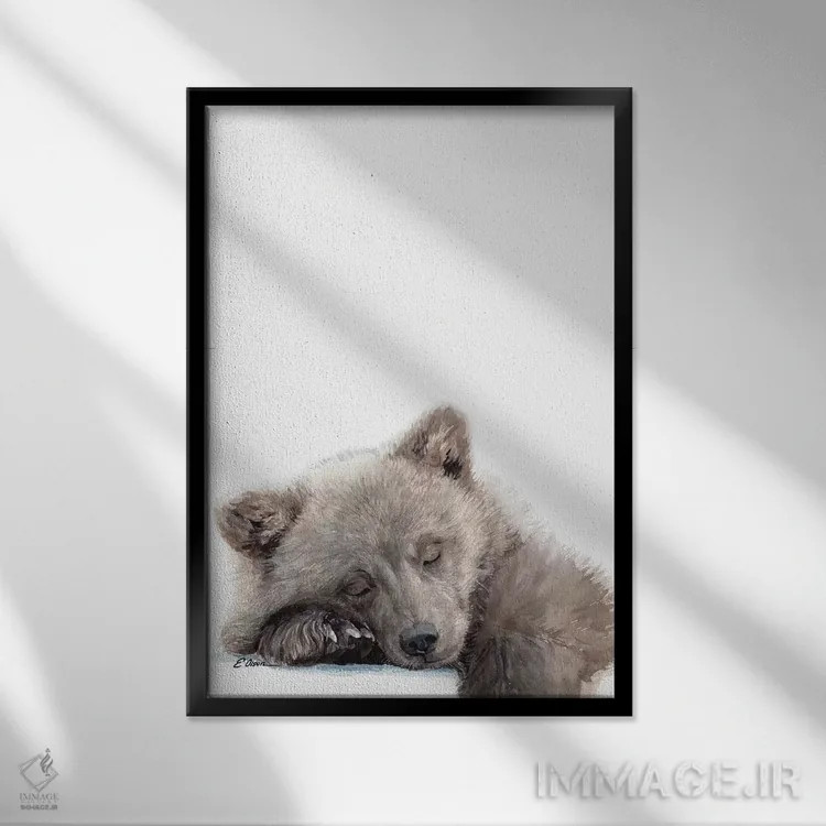 تابلو دکوراتیو توله خرس جنگلی خوابیده اثر واترکالر لاو - نمای قابدار مشکی