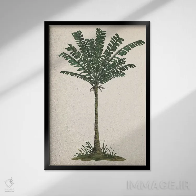 تابلو دکوراتیو مطالعه نخل IV اثر ملیسا وانگ - نمای قابدار مشکی