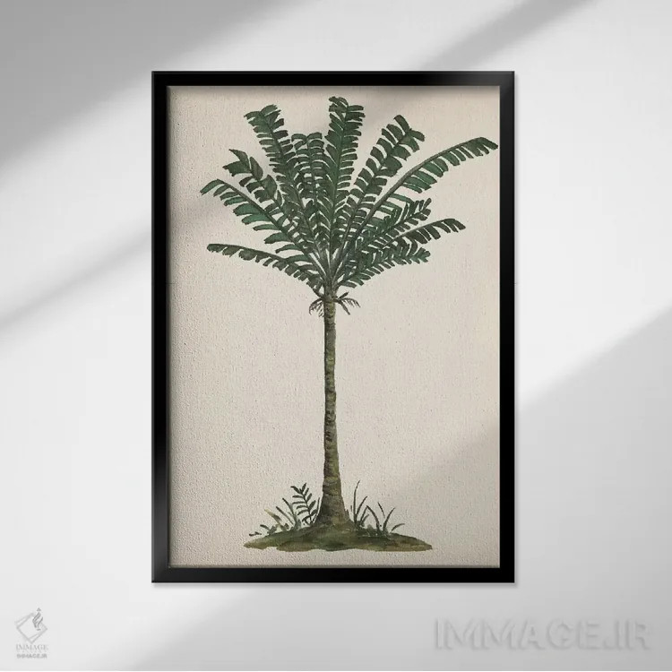 تابلو دکوراتیو مطالعه نخل IV اثر ملیسا وانگ - نمای قابدار مشکی