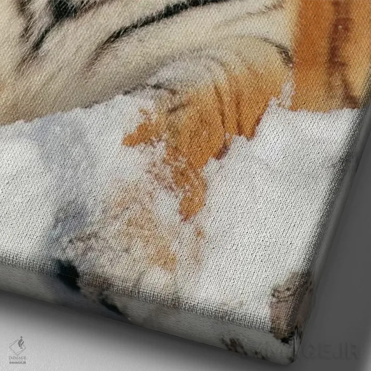 تابلو دکوراتیو Siberian Tiger Park, Harbin, China,ببر سیبری در برف، پارک ببر… اثر کنراد وته - نمای نزدیک بافت بوم