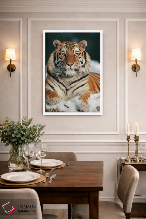 تابلو دکوراتیو Siberian Tiger Park, Harbin, China,ببر سیبری در برف، پارک ببر… اثر کنراد وته - D1W