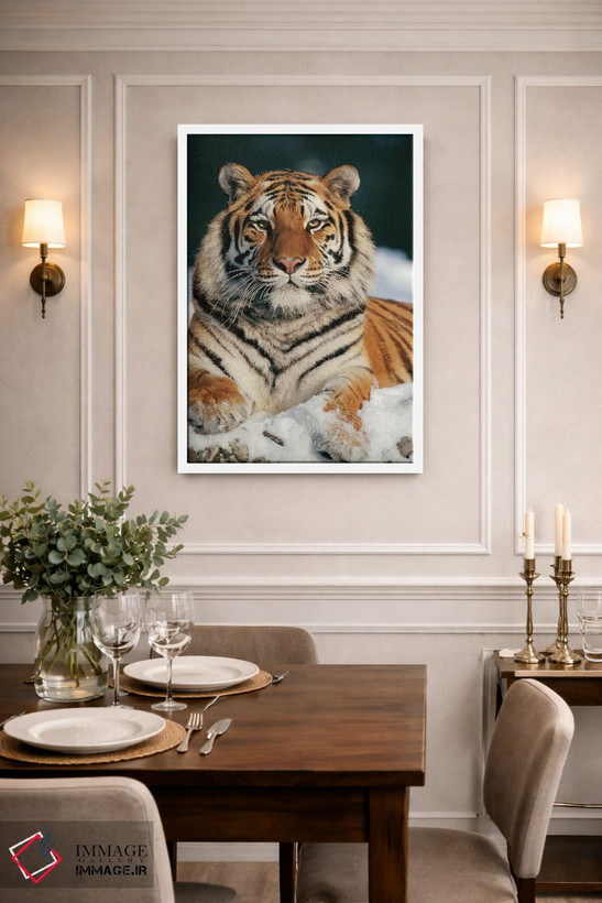 تابلو دکوراتیو Siberian Tiger Park, Harbin, China,ببر سیبری در برف، پارک ببر… اثر کنراد وته - D1W