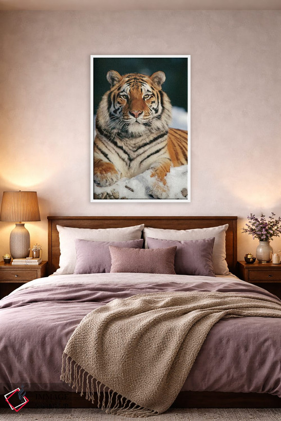 تابلو دکوراتیو Siberian Tiger Park, Harbin, China,ببر سیبری در برف، پارک ببر… اثر کنراد وته - D4W
