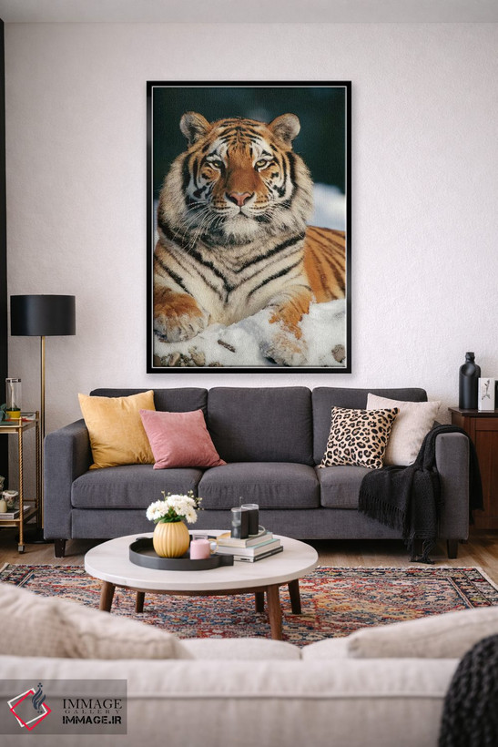 تابلو دکوراتیو Siberian Tiger Park, Harbin, China,ببر سیبری در برف، پارک ببر… اثر کنراد وته - D3B