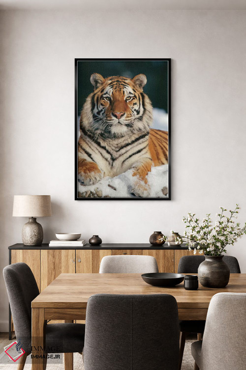 تابلو دکوراتیو Siberian Tiger Park, Harbin, China,ببر سیبری در برف، پارک ببر… اثر کنراد وته - D5B