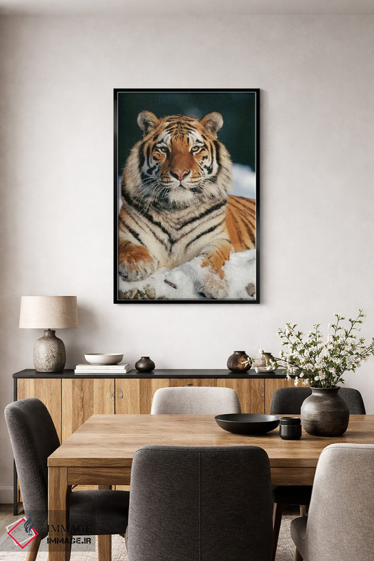 تابلو دکوراتیو Siberian Tiger Park, Harbin, China,ببر سیبری در برف، پارک ببر… اثر کنراد وته - D5B