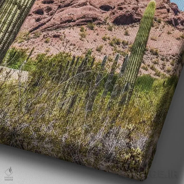 تابلو دکوراتیو Brown Mountain, Desert Botanical Garden, Phoenix, Arizona,شک… اثر ویلیام پری - نمای نزدیک بافت بوم